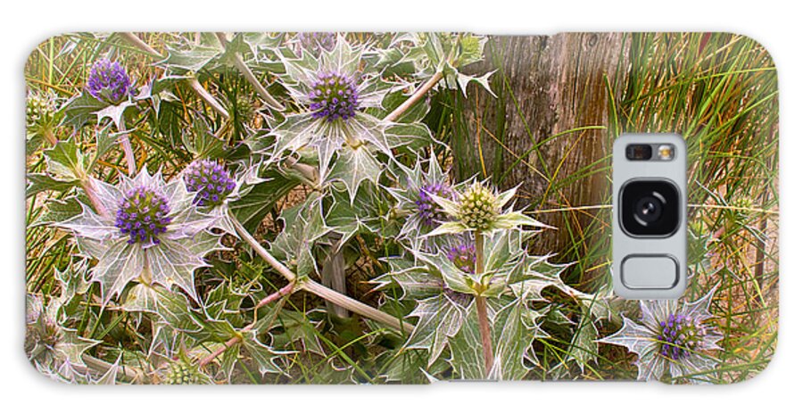 Flowers Galaxy Case featuring the photograph Sea Holly by Mark Egerton