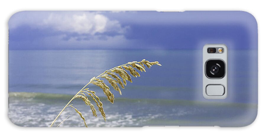 4th Galaxy Case featuring the photograph Sea Oats Ahead of the Storm by Karen Stephenson