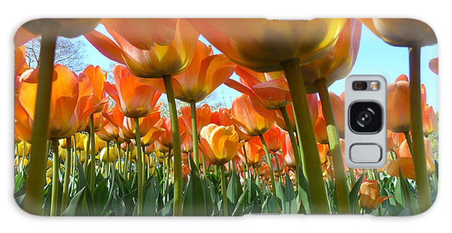 Flowers Galaxy S8 Case featuring the photograph Sea Of Orange by Dan Myers