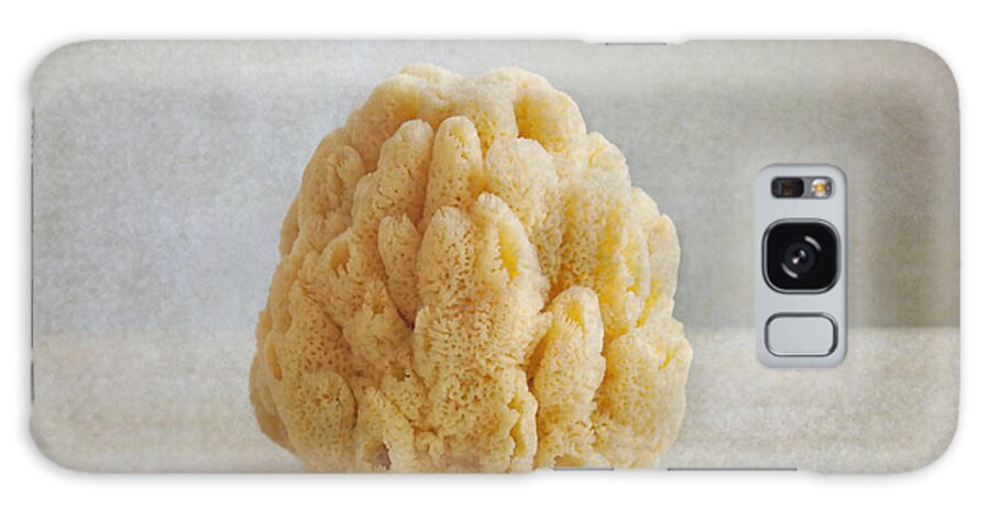 Sponge Galaxy Case featuring the photograph Sea Sponge by Aiolos Greek Collections