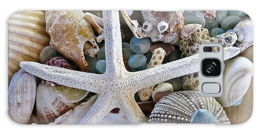 Seashells Galaxy Case featuring the photograph Sea Treasure by Colleen Kammerer