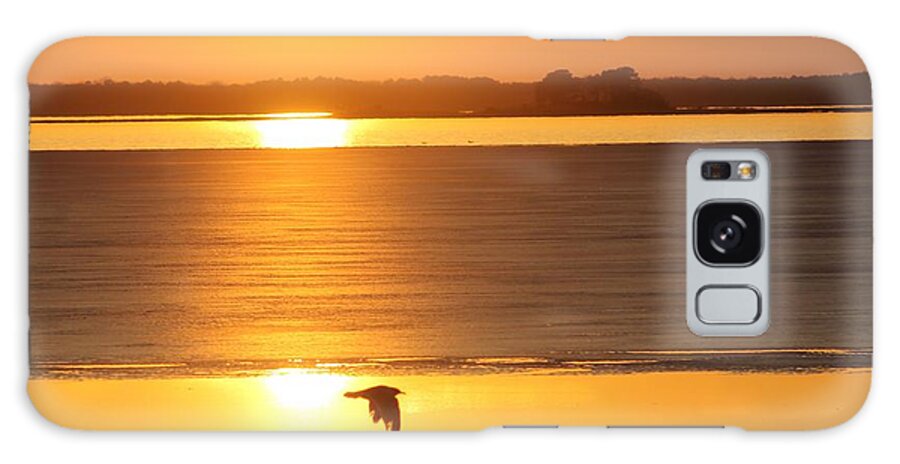 Ocean City Galaxy S8 Case featuring the photograph Seagull Through Sunset by Robert Banach