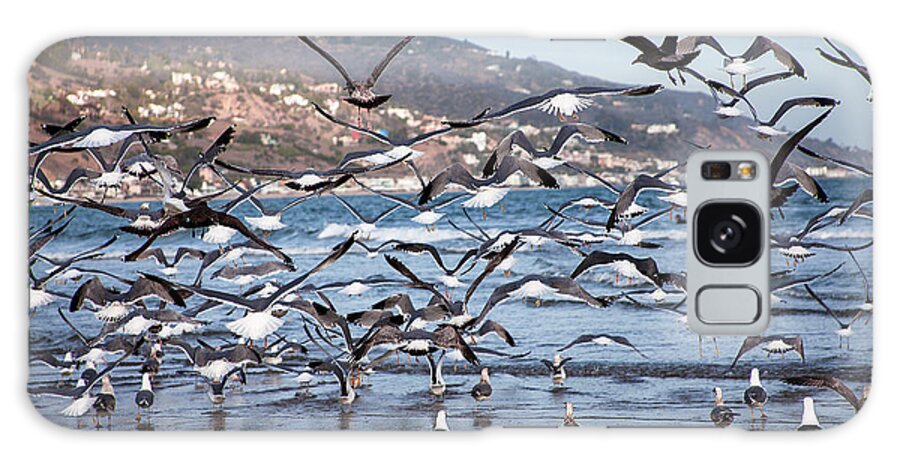 Seagulls Photographs Galaxy Case featuring the photograph Seagulls Seagulls And More Seagulls by Jerry Cowart