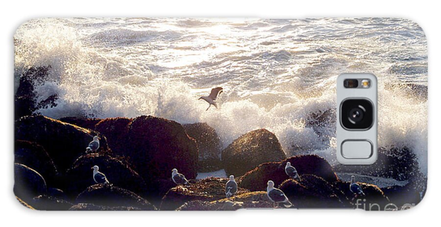 Birds Galaxy Case featuring the photograph Birds Watching Waves by Haleh Mahbod