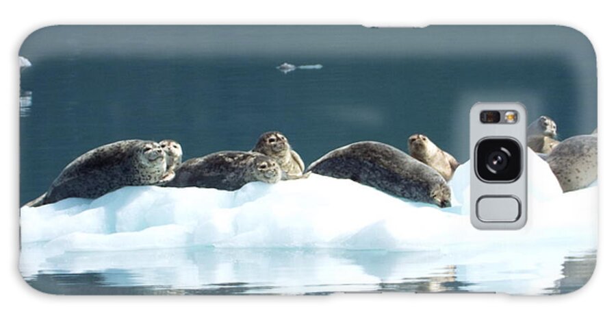 Seals Galaxy Case featuring the photograph Seal Reflections by Barbara Von Pagel