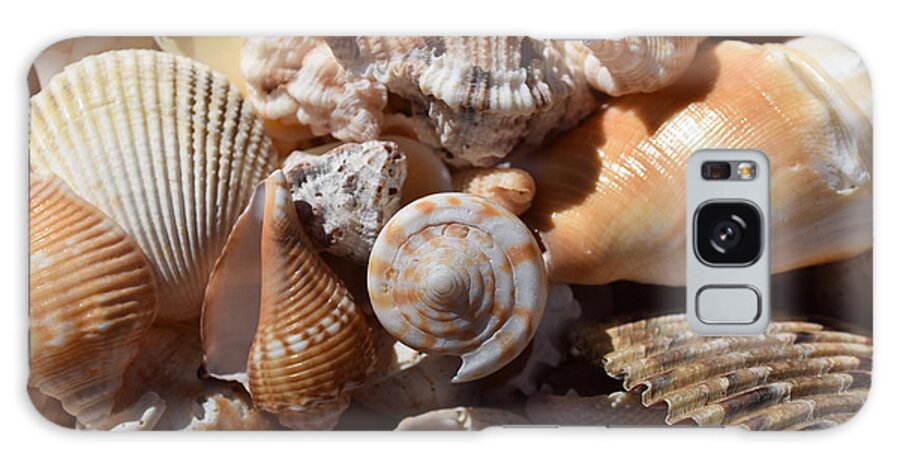 Sanibel Galaxy Case featuring the photograph Seashells by Curtis Krusie