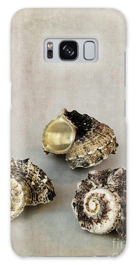 Seashells Galaxy S8 Case featuring the photograph Seashells by Elena Nosyreva