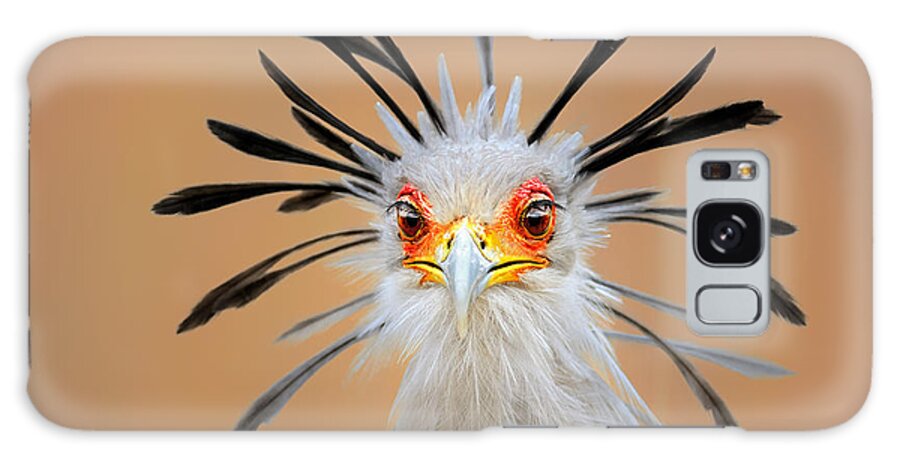 Bird Galaxy Case featuring the photograph Secretary bird portrait close-up head shot by Johan Swanepoel