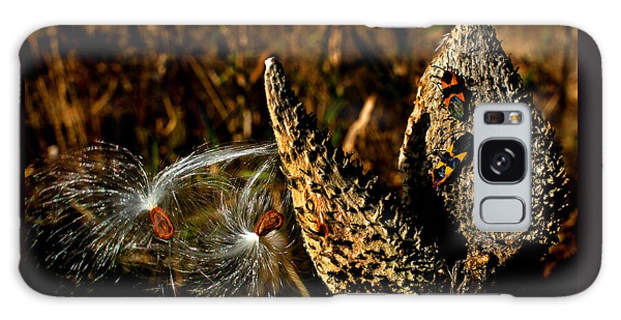 Seeds Galaxy Case featuring the photograph Seeds in the Wind by Jamieson Brown