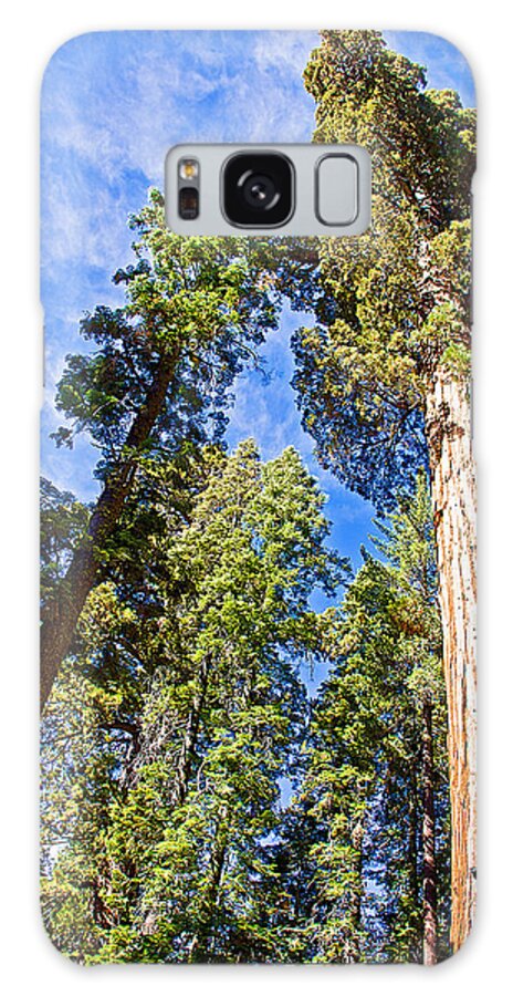 Sequoias Reaching To The Clouds In Mariposa Grove In Yosemite National Park Galaxy Case featuring the photograph Sequoias Reaching to the Clouds in Mariposa Grove in Yosemite National Park, California by Ruth Hager