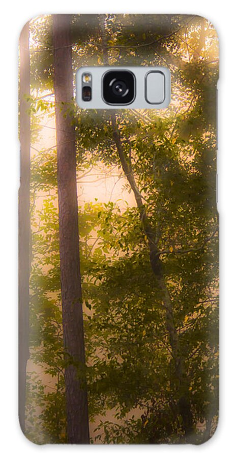 Fog Galaxy S8 Case featuring the photograph Serenity in the Forest by Parker Cunningham