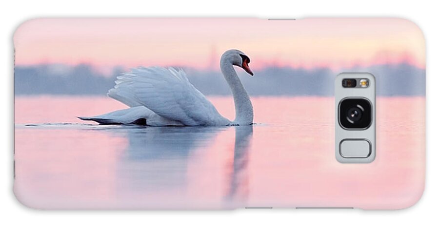 Mute Swan Galaxy Case featuring the photograph Serenity  Mute Swan at Sunset by Roeselien Raimond