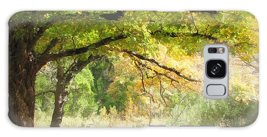 Lost Maples Galaxy Case featuring the digital art Serenity by Wendy J St Christopher