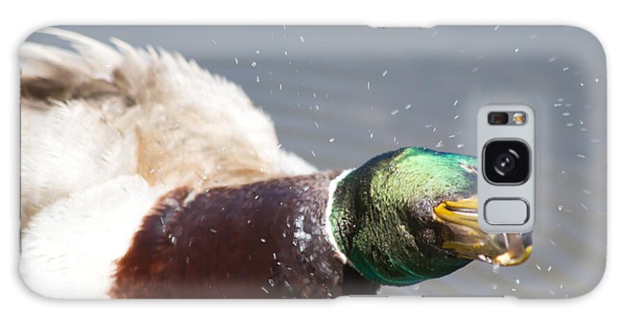 Duck Galaxy Case featuring the photograph Shake It Off by Shane Bechler