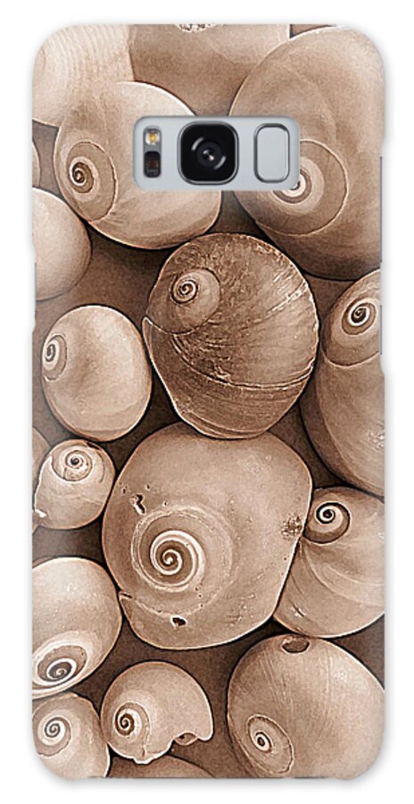 Sea Snail Galaxy Case featuring the photograph Shark Eyes in Sepia by Patricia Januszkiewicz