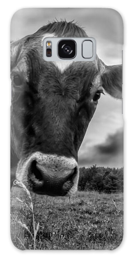 Cows Galaxy Case featuring the photograph She wears her heart for all to see by Bob Orsillo