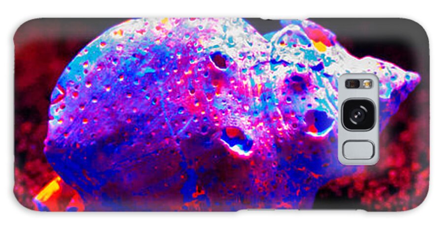 Black Light Galaxy S8 Case featuring the photograph Shell After Color by Shawn MacMeekin