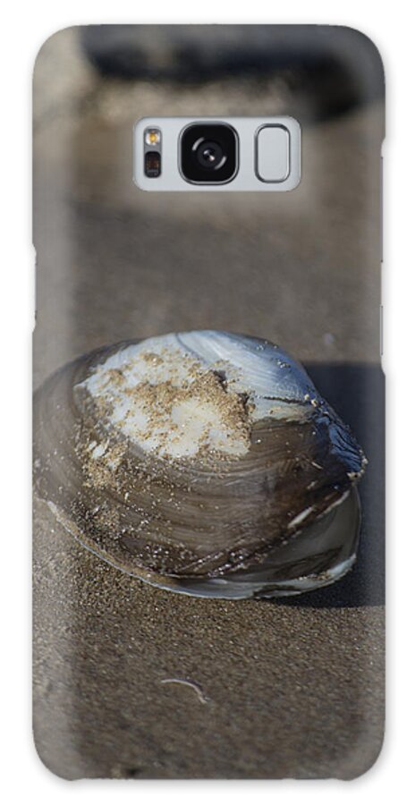 Sea Shell Galaxy S8 Case featuring the photograph Shell or someone's dinner by Spikey Mouse Photography