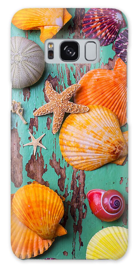 Wonderful Sea Life Galaxy Case featuring the photograph Shells On Old Green Board by Garry Gay