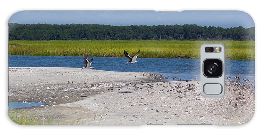 South Carolina Galaxy Case featuring the photograph Shorebirds and Marsh Grass by Patricia Schaefer