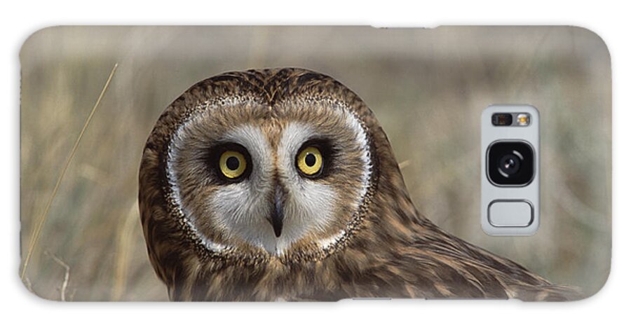 Feb0514 Galaxy Case featuring the photograph Short-eared Owl Portrait North America by Konrad Wothe