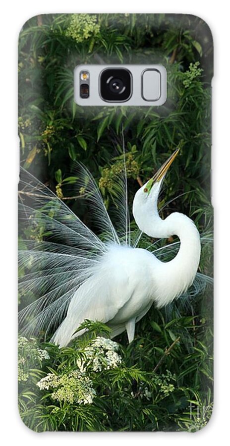 Great White Egret Galaxy Case featuring the photograph Showy Great White Egret by Sabrina L Ryan
