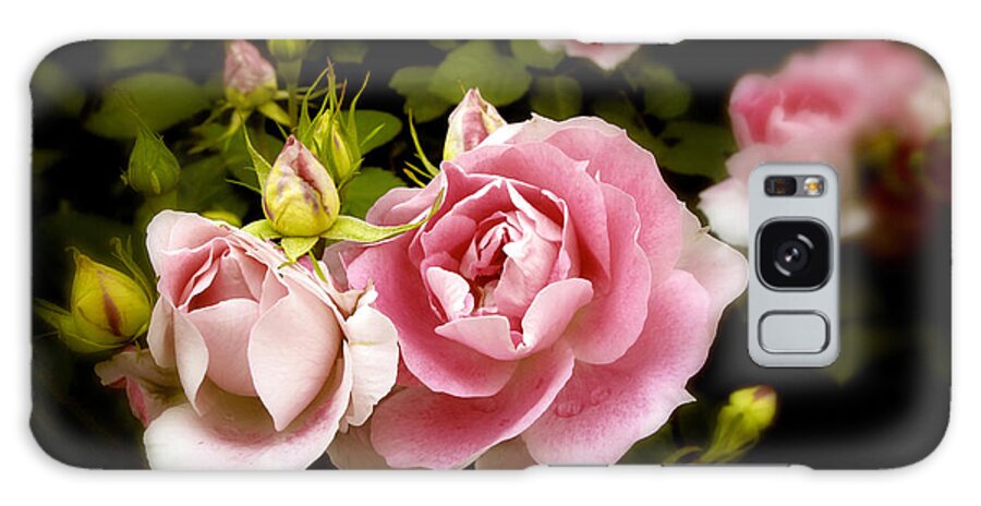 Nature Galaxy S8 Case featuring the photograph Shrub Rose by Jessica Jenney