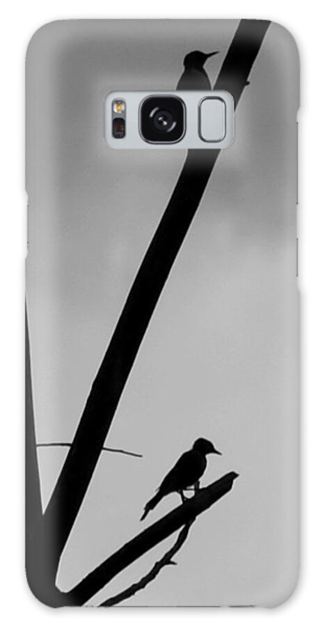 Silhouette Galaxy S8 Case featuring the photograph Silhouette 1 by Joe Faherty