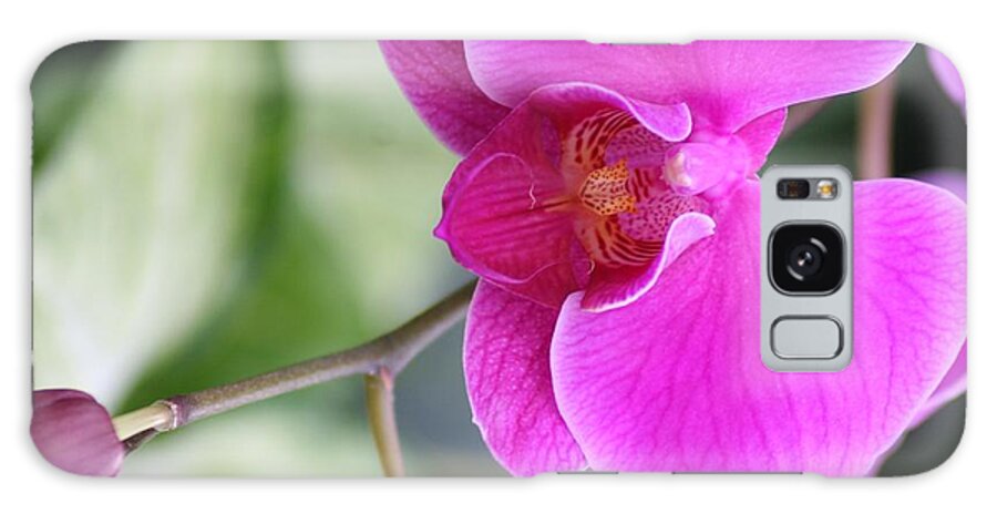 Floral Galaxy Case featuring the photograph Simply Delicate Pink Orchid by Mary Lou Chmura