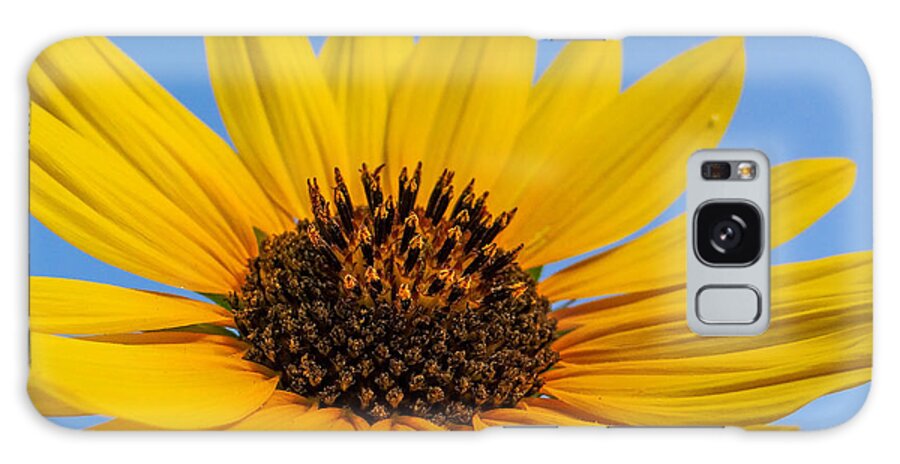 Yellow Galaxy Case featuring the photograph Simply Sunflower by Stacy Michelle Smith