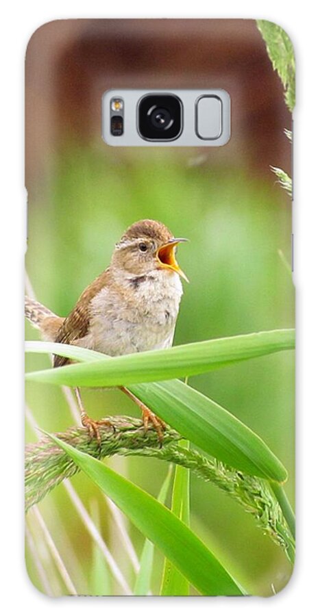 Songbirds Galaxy S8 Case featuring the photograph Singing for a companion by I'ina Van Lawick