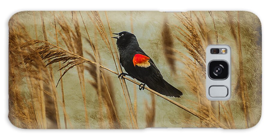 Red Wing Blackbird Galaxy Case featuring the photograph Singing Red Wing by Cathy Kovarik