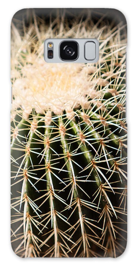Botanical Galaxy Case featuring the photograph Single Cactus Ball by John Wadleigh