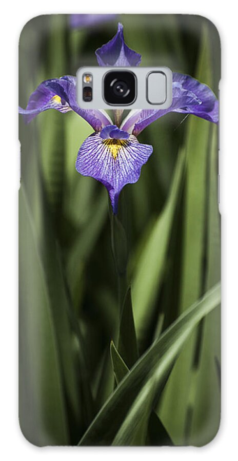 Single Iris Galaxy Case featuring the photograph Single Iris by Penny Lisowski