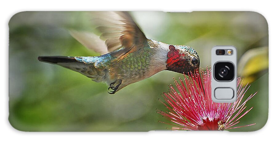 Hummingbird Galaxy Case featuring the photograph Sipping the Nectar by Carol Eade