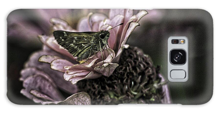 Botanical Gardens Galaxy Case featuring the photograph Skipper on flower by Donald Brown