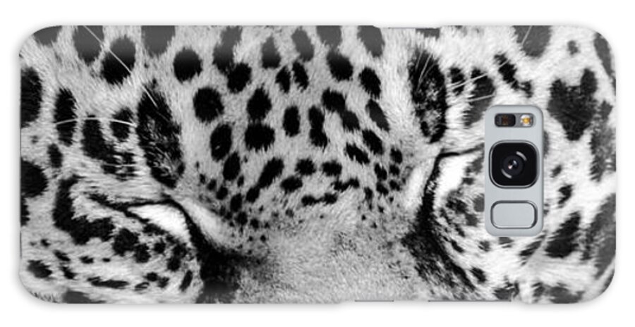Leopard Galaxy Case featuring the photograph Sleeping by Wild Fotos
