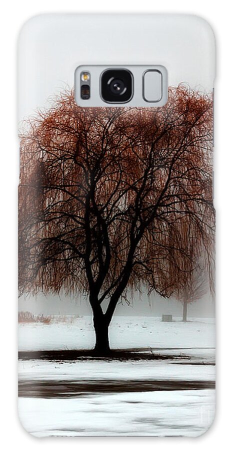 Weeping Willow Galaxy S8 Case featuring the photograph Sleeping Willow by Rick Kuperberg Sr