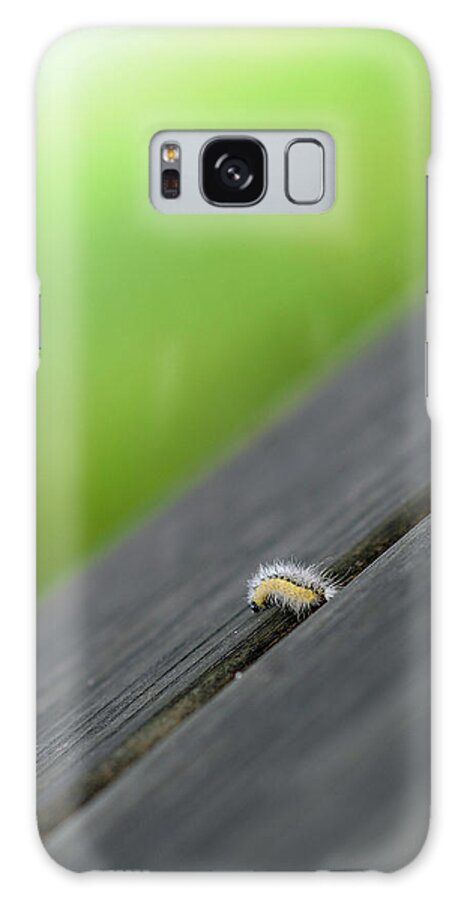 Slowly But Surely Galaxy Case featuring the photograph Slowly but Surely by Lisa Phillips