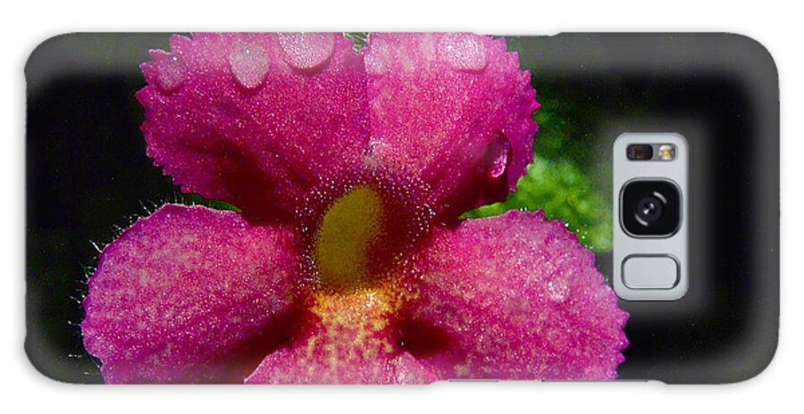 Pink Flower Galaxy S8 Case featuring the photograph Small Beauty by Jocelyn Kahawai