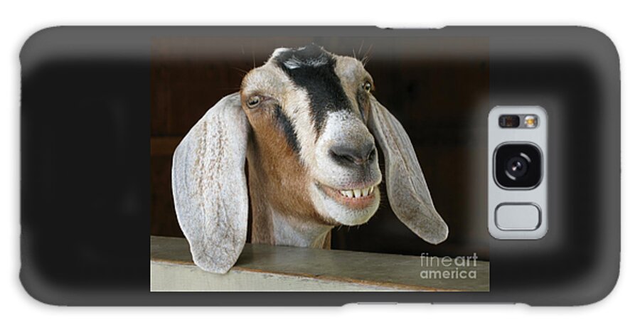 Goat Galaxy Case featuring the photograph Smile Pretty by Ann Horn