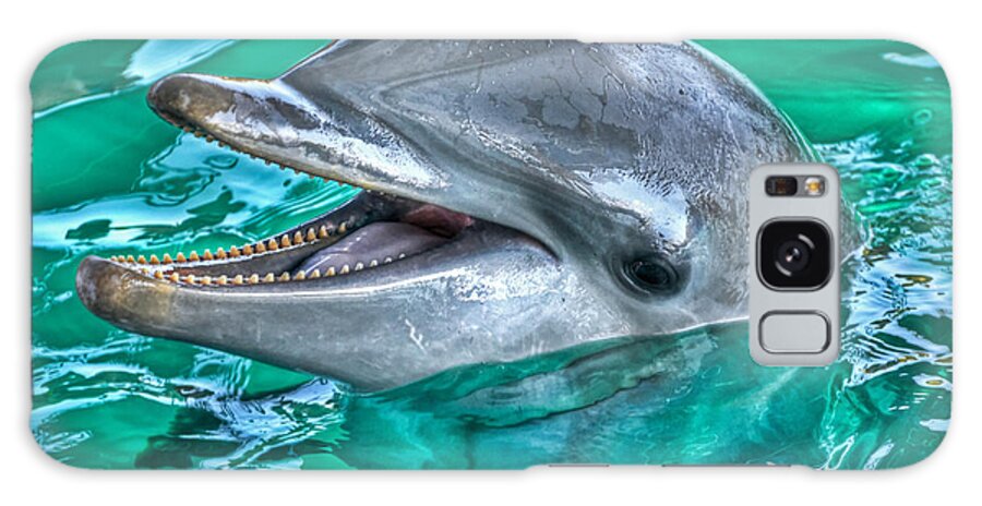 Dolphins Galaxy Case featuring the photograph Smiling Dolphin by PatriZio M Busnel