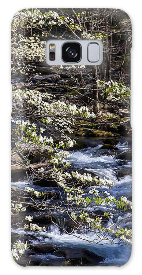 Smoky Mountains Galaxy Case featuring the photograph Smoky Dogwood 05 by Jim Dollar