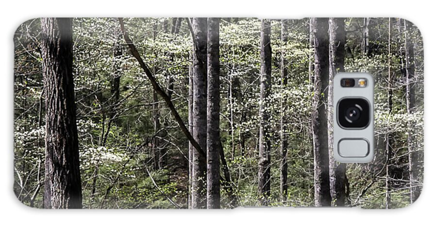 Dogwood Trees Galaxy Case featuring the photograph Smoky Dogwoods 01 by Jim Dollar
