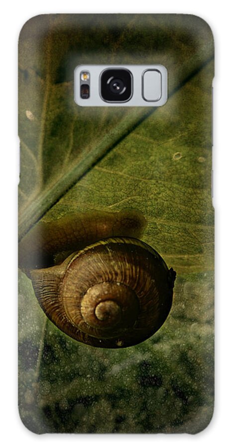 Snail Galaxy S8 Case featuring the photograph Snail camp by Barbara Orenya