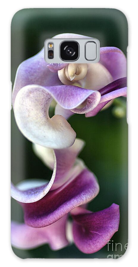 Corkscrew Vine Flower Galaxy S8 Case featuring the photograph Snail Flower by Joy Watson