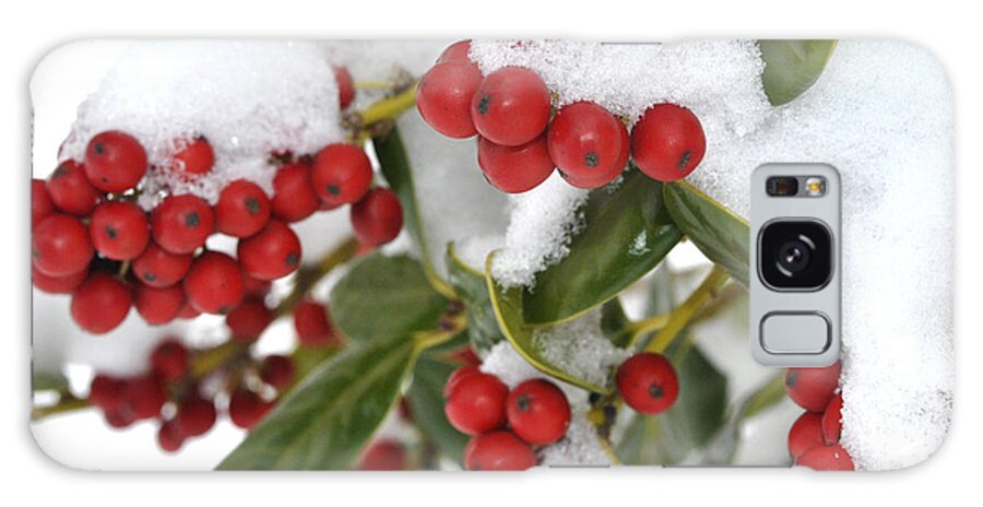 Holly Galaxy Case featuring the photograph Snow Berries by George Taylor