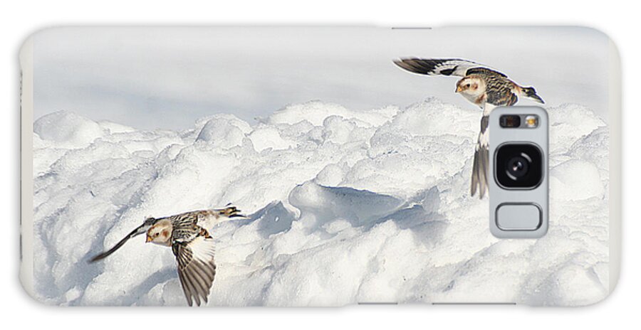 Wildlife Galaxy S8 Case featuring the photograph Snow Buntings in Flight by William Selander