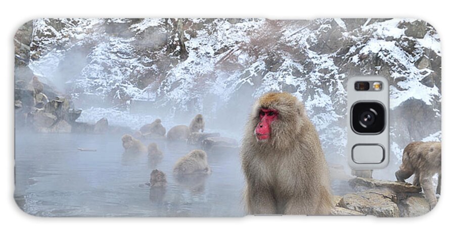 Snow Galaxy Case featuring the photograph Snow King Monkey by Bunya541