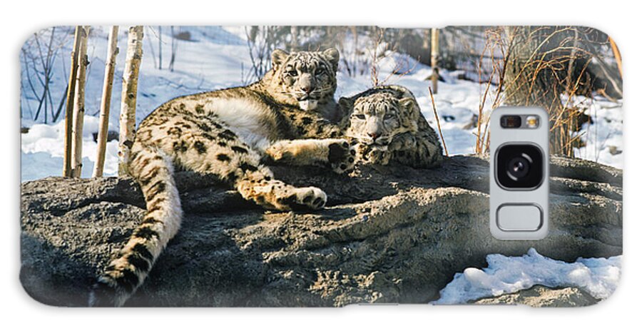 Animal Galaxy Case featuring the photograph Snow Leopard Pair by John W. Bova